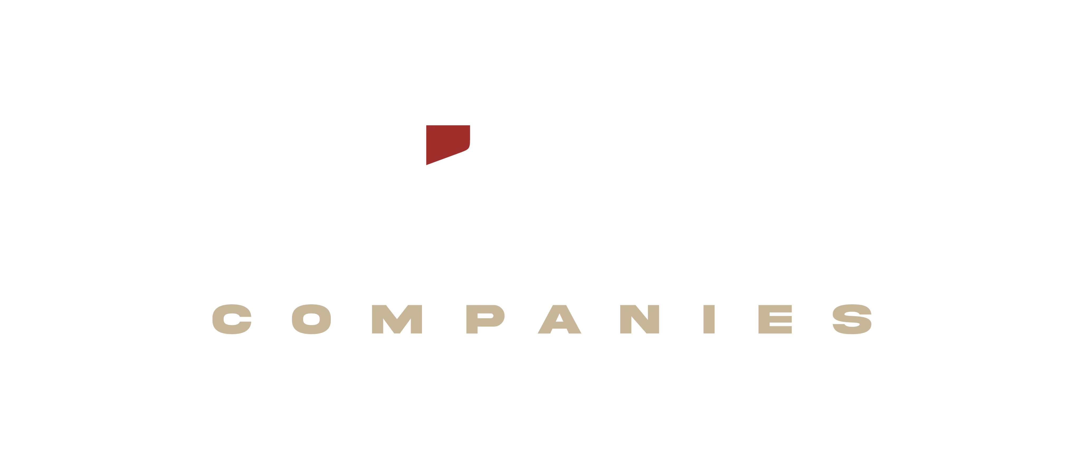 Vidl Companies Logo